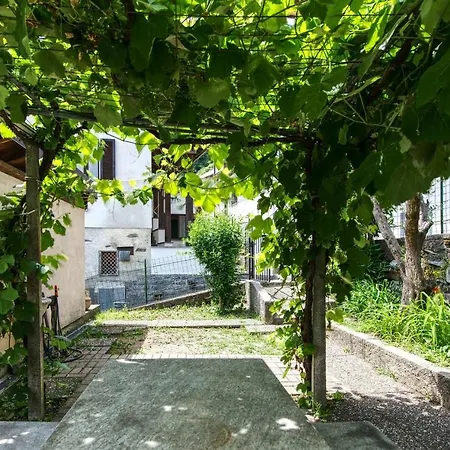 Pergola Lake View